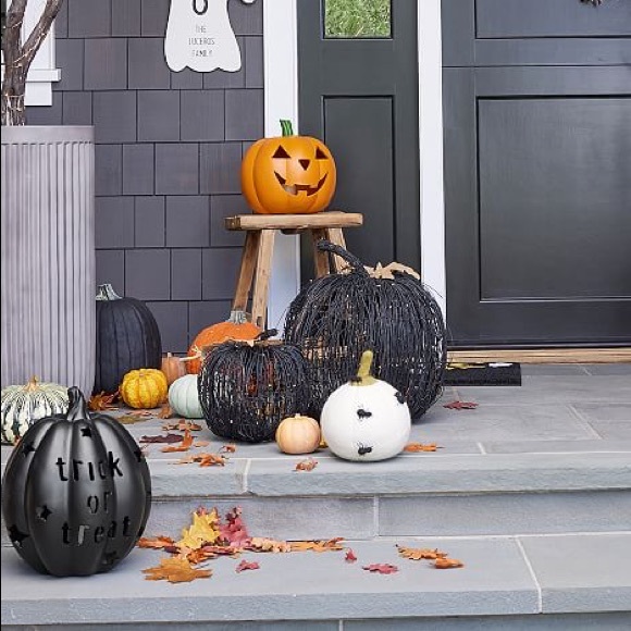 Pottery Barn kids Exclusive Handmade Wool Felt White Pumpkin with Spiders 🕷🎃 - Picture 2 of 14